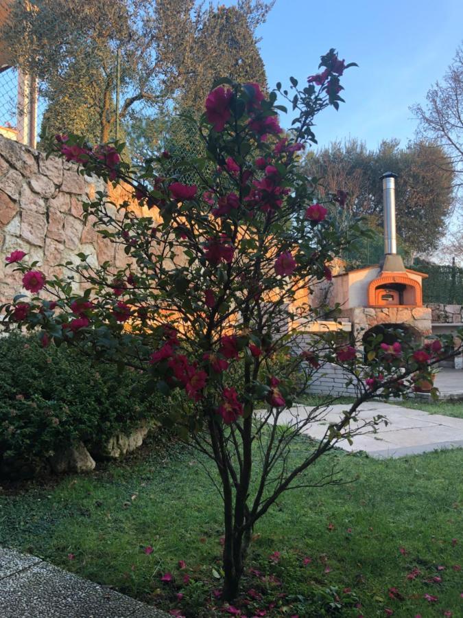 B&B Damiano 克里斯帕诺德尔格兰帕 外观 照片